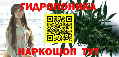 винт Ипатово