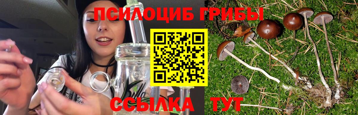 Псилоцибиновые грибы мухоморы  Омск 