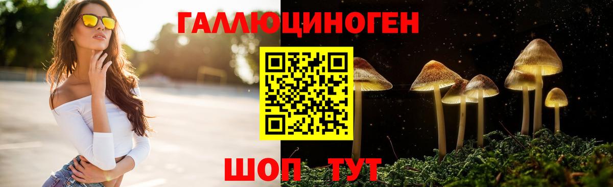 Галлюциногенные грибы GOLDEN TEACHER  Вход с VPN  Омск 